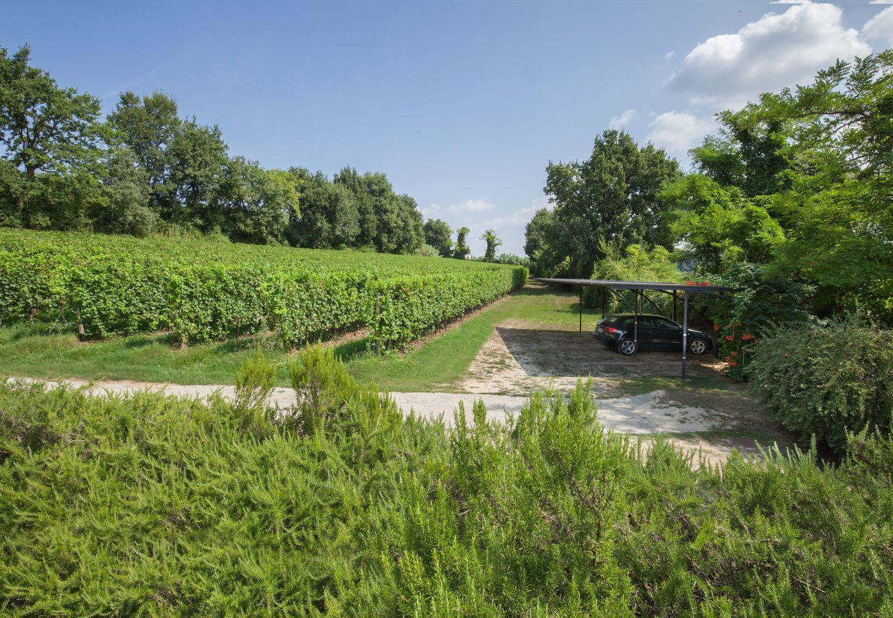 Villa in Lazise - Villa Gasco With Pool