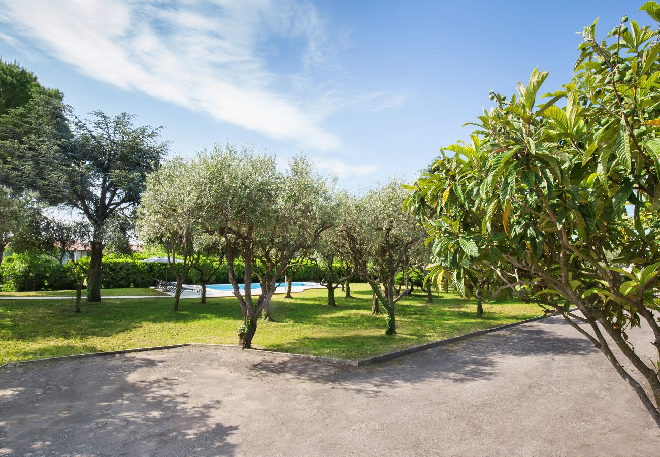 Villa in Lazise - Villa Delle Coste With Pool